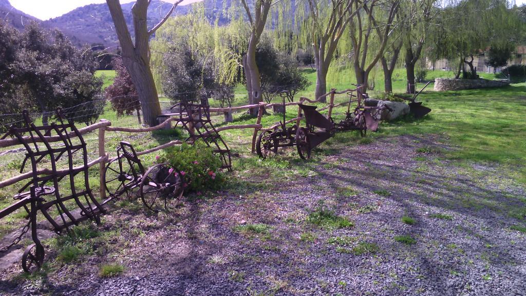 Agriturismo Cugumia Thiesi Exteriér fotografie