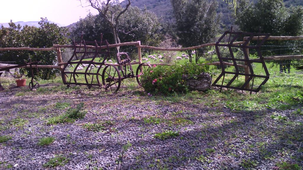 Agriturismo Cugumia Thiesi Exteriér fotografie
