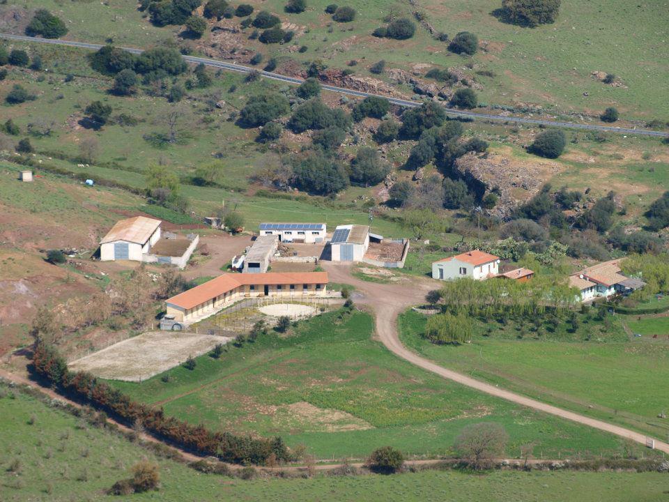 Agriturismo Cugumia Thiesi Exteriér fotografie